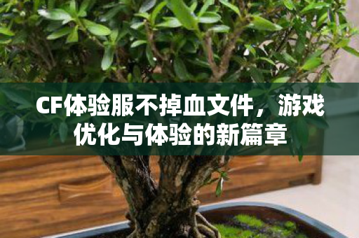 游戏优化与体验的新篇章图片