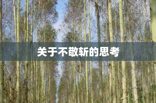 关于不敬斩的思考图片
