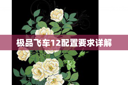 极品飞车12配置要求详解图片