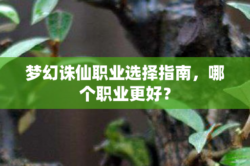 梦幻诛仙职业选择指南图片