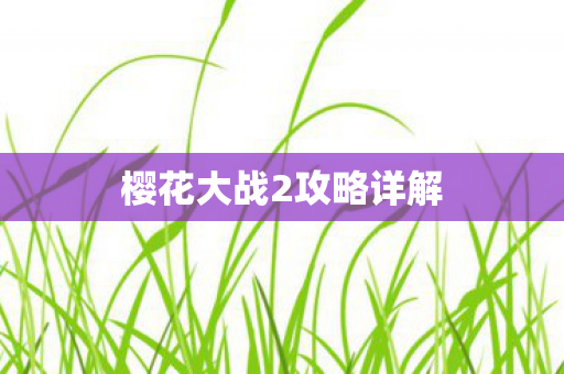樱花大战2攻略详解图片