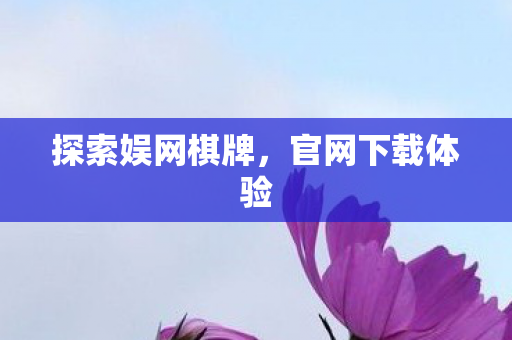 探索娱网棋牌图片