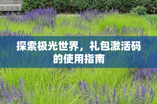 礼包激活码的使用指南图片