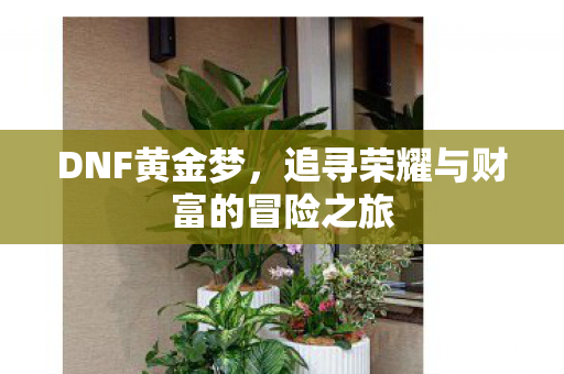 追寻荣耀与财富的冒险之旅图片