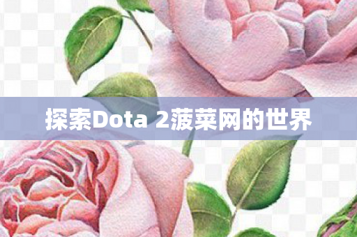 探索Dota 2菠菜网的世界图片