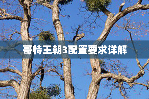 哥特王朝3配置要求详解图片