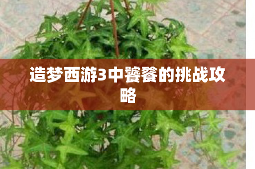 造梦西游3中饕餮的挑战攻略图片