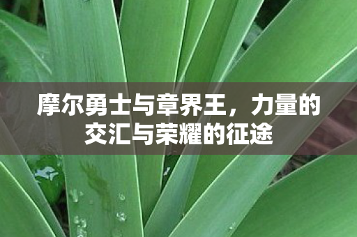 力量的交汇与荣耀的征途图片