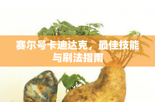 最佳技能与刷法指南图片