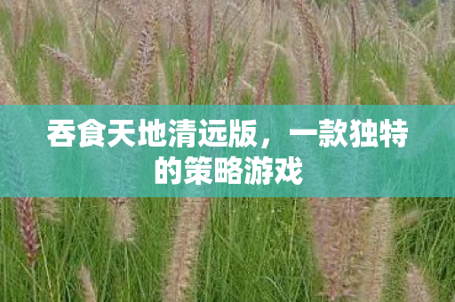 一款独特的策略游戏图片