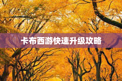 卡布西游快速升级攻略图片
