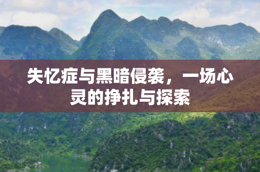 一场心灵的挣扎与探索图片