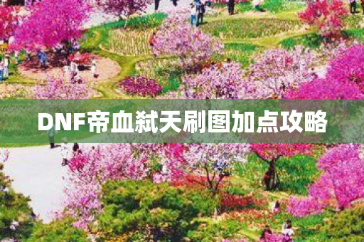 DNF帝血弑天刷图加点攻略图片