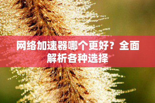 网络加速器哪个更好图片