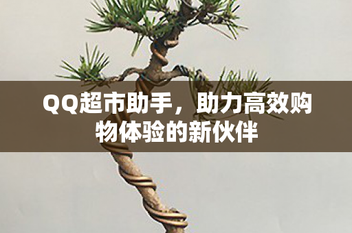 助力高效购物体验的新伙伴图片