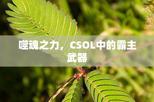 CSOL中的霸主武器图片
