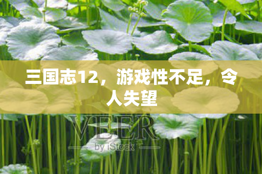 三国志12图片