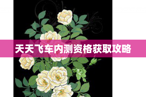 天天飞车内测资格获取攻略图片