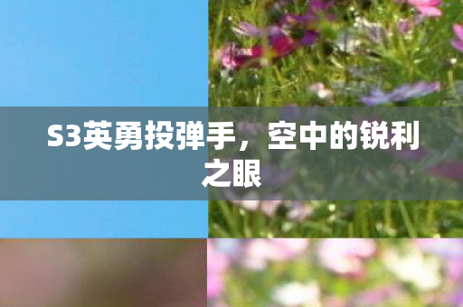 S3英勇投弹手图片
