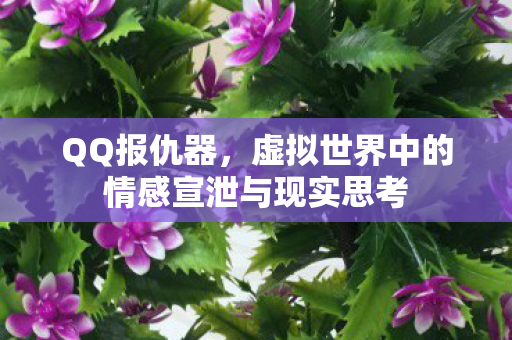 虚拟世界中的情感宣泄与现实思考图片