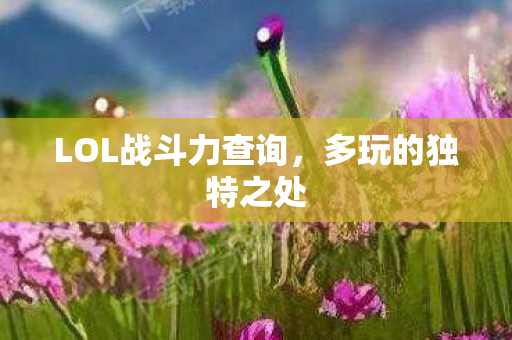 LOL战斗力查询图片