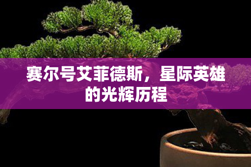 星际英雄的光辉历程图片