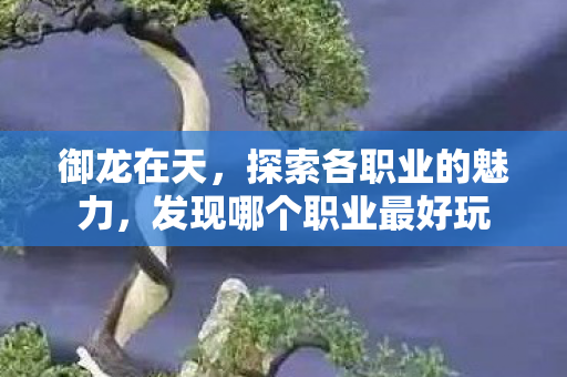发现哪个职业最好玩图片