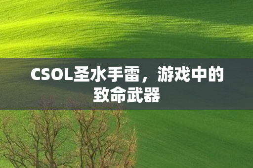 CSOL圣水手雷图片