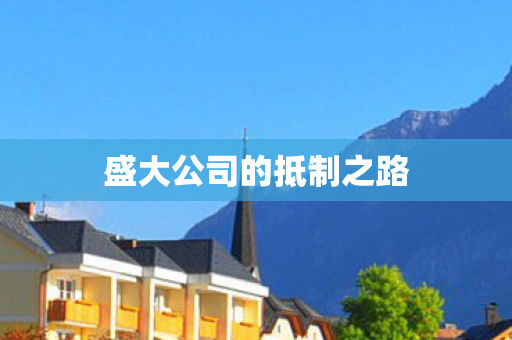 盛大公司的抵制之路图片