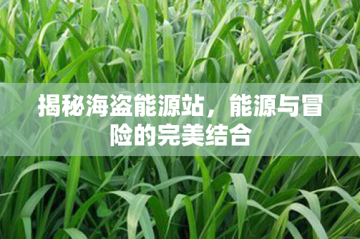 能源与冒险的完美结合图片