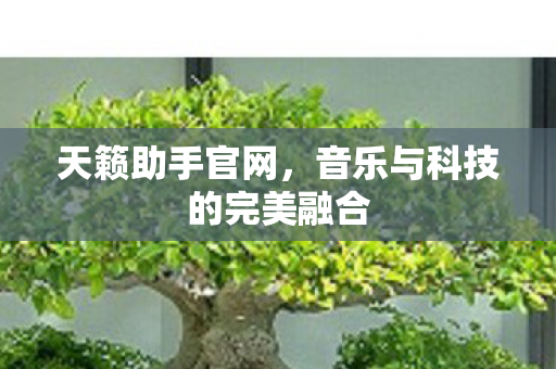 音乐与科技的完美融合图片