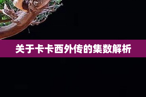 关于卡卡西外传的集数解析图片