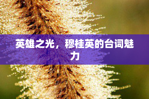 穆桂英的台词魅力图片