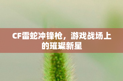 游戏战场上的璀璨新星图片