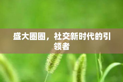 社交新时代的引领者图片