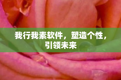 我行我素软件图片