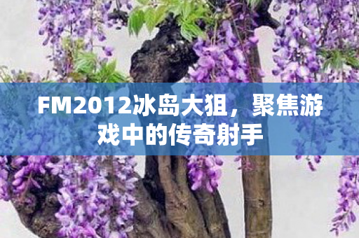 FM2012冰岛大狙图片