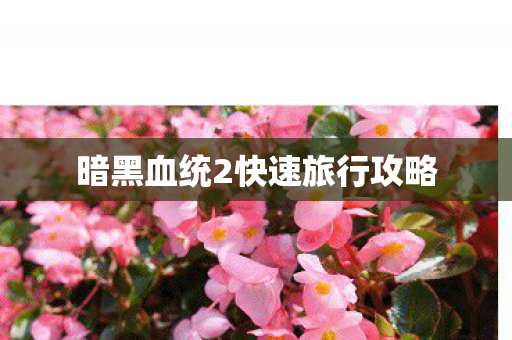 暗黑血统2快速旅行攻略图片