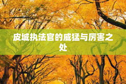 皮城执法官的威猛与厉害之处图片