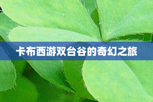 卡布西游双台谷的奇幻之旅图片