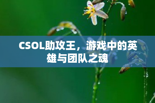 游戏中的英雄与团队之魂图片