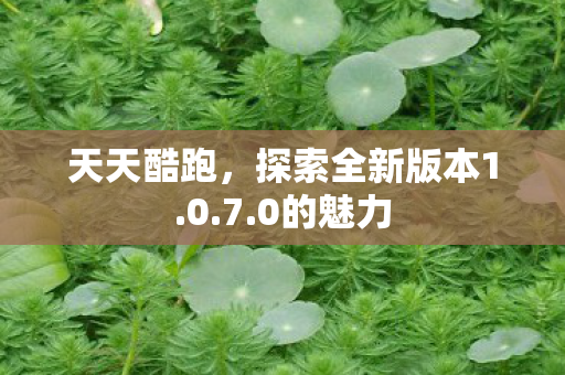 探索全新版本1图片