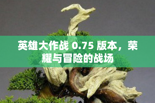 荣耀与冒险的战场图片