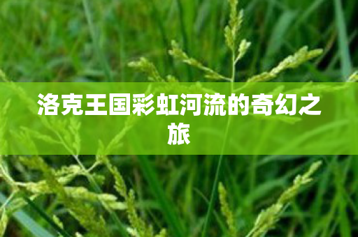 洛克王国彩虹河流的奇幻之旅图片