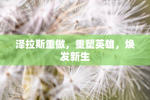 泽拉斯重做图片