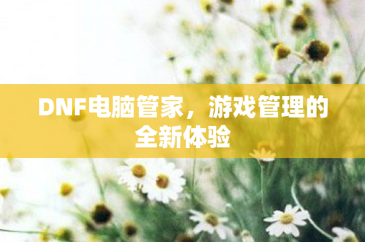 游戏管理的全新体验图片