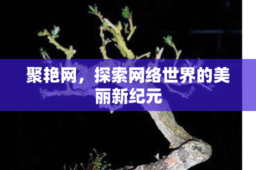 探索网络世界的美丽新纪元图片
