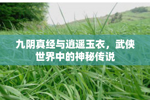 武侠世界中的神秘传说图片