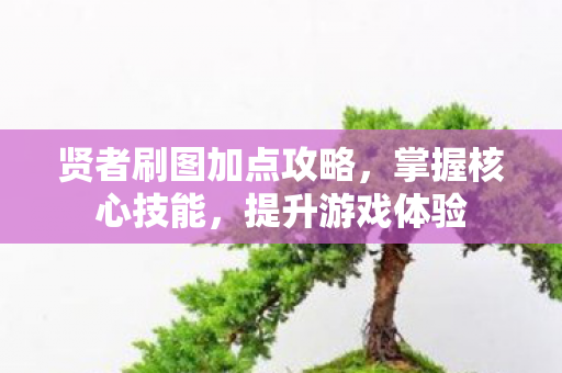 贤者刷图加点攻略图片