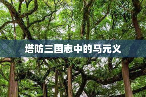 塔防三国志中的马元义图片